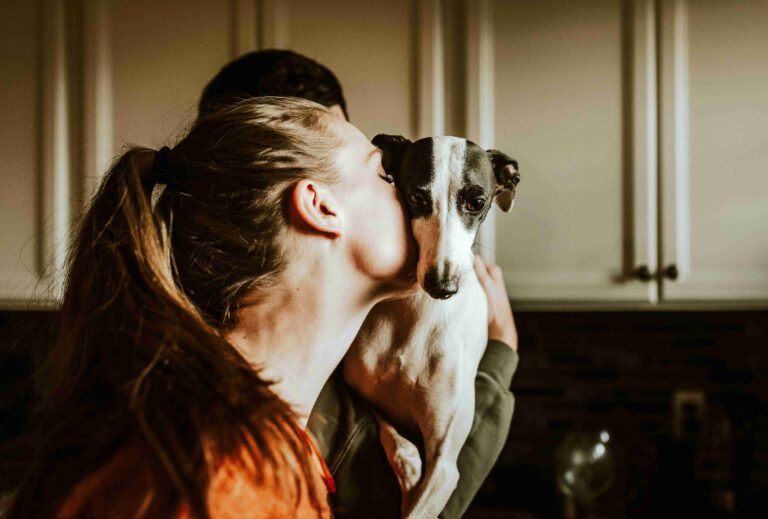 Do Dogs Like Being Kissed | Everything You Should Know