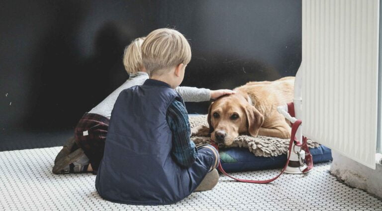 Why You Should Adopt a Pet Speech | 7 Benefits of Petting Animals
